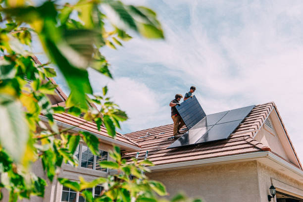 Best Roof Gutter Cleaning  in Buena Vista, VA