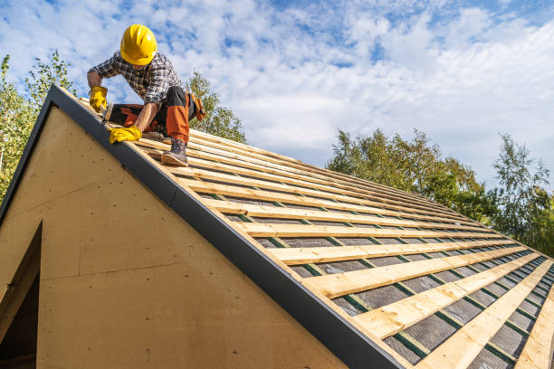 Best Roof Gutter Cleaning  in Buena Vista, VA
