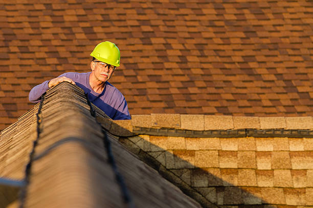Best Metal Roofing Contractor  in Buena Vista, VA
