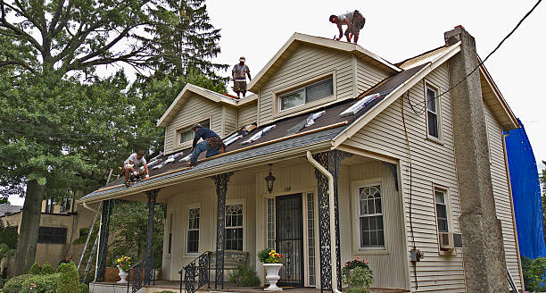 Best Storm Damage Roof Repair  in Buena Vista, VA