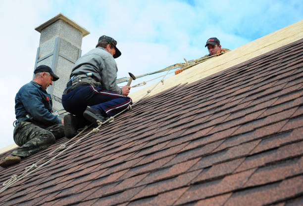Best Emergency Roof Repair  in Buena Vista, VA
